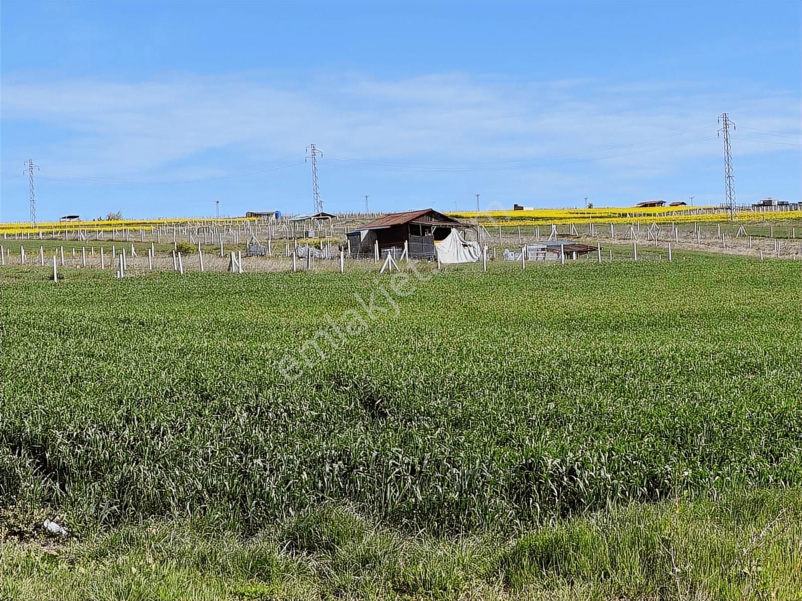 Silivri Çanta Balabanda Satılık 260 M2 İmarlı Arsa Tapulu - Görsel 9