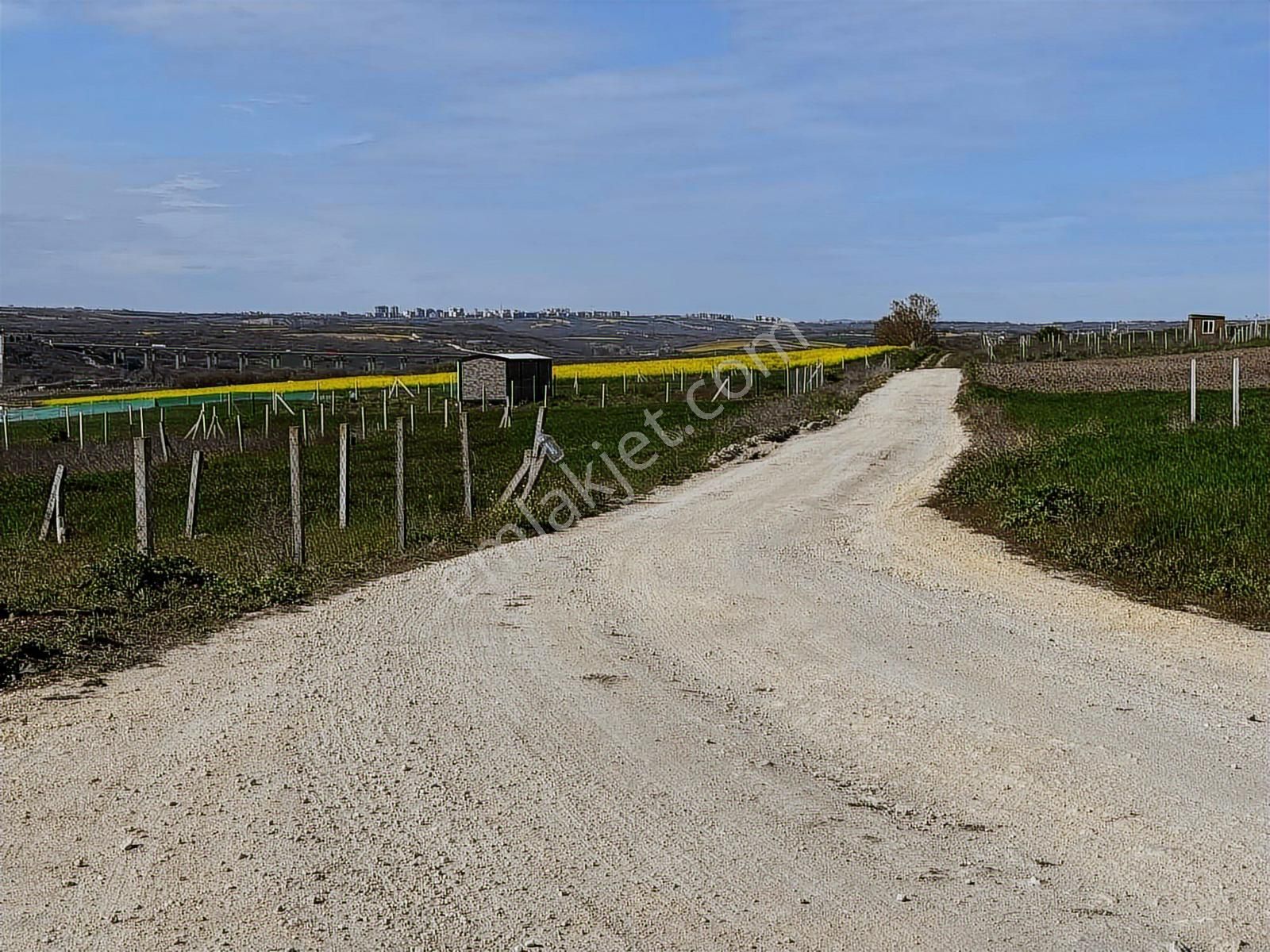 Silivri Çanta Balabanda Satılık 260 M2 İmarlı Arsa Tapulu - Görsel 18
