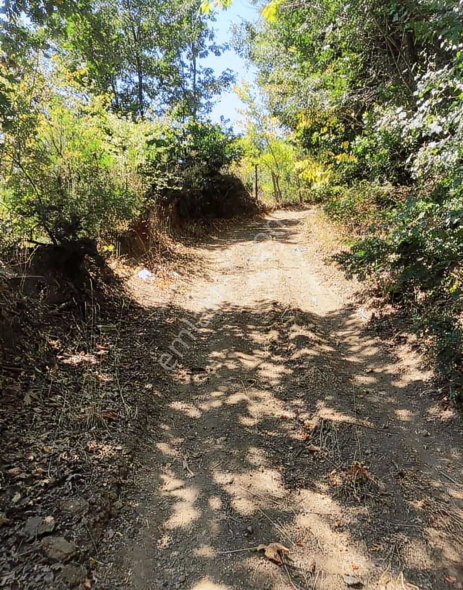 Çanakkale Biga Yolindi Köyünde Satılık Harıka Konumda Tarla - Görsel 9