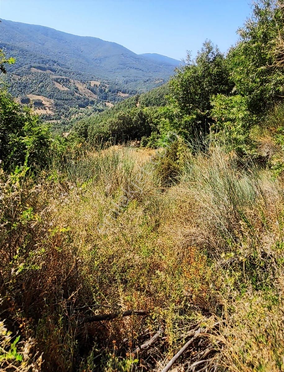Çanakkale Biga Yolindi Köyünde Satılık Harıka Konumda Tarla - Görsel 16