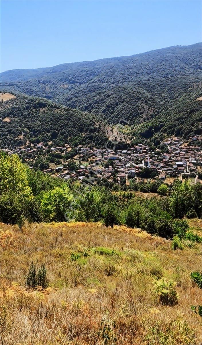 Çanakkale Biga Yolindi Köyünde Satılık Harıka Konumda Tarla - Görsel 15