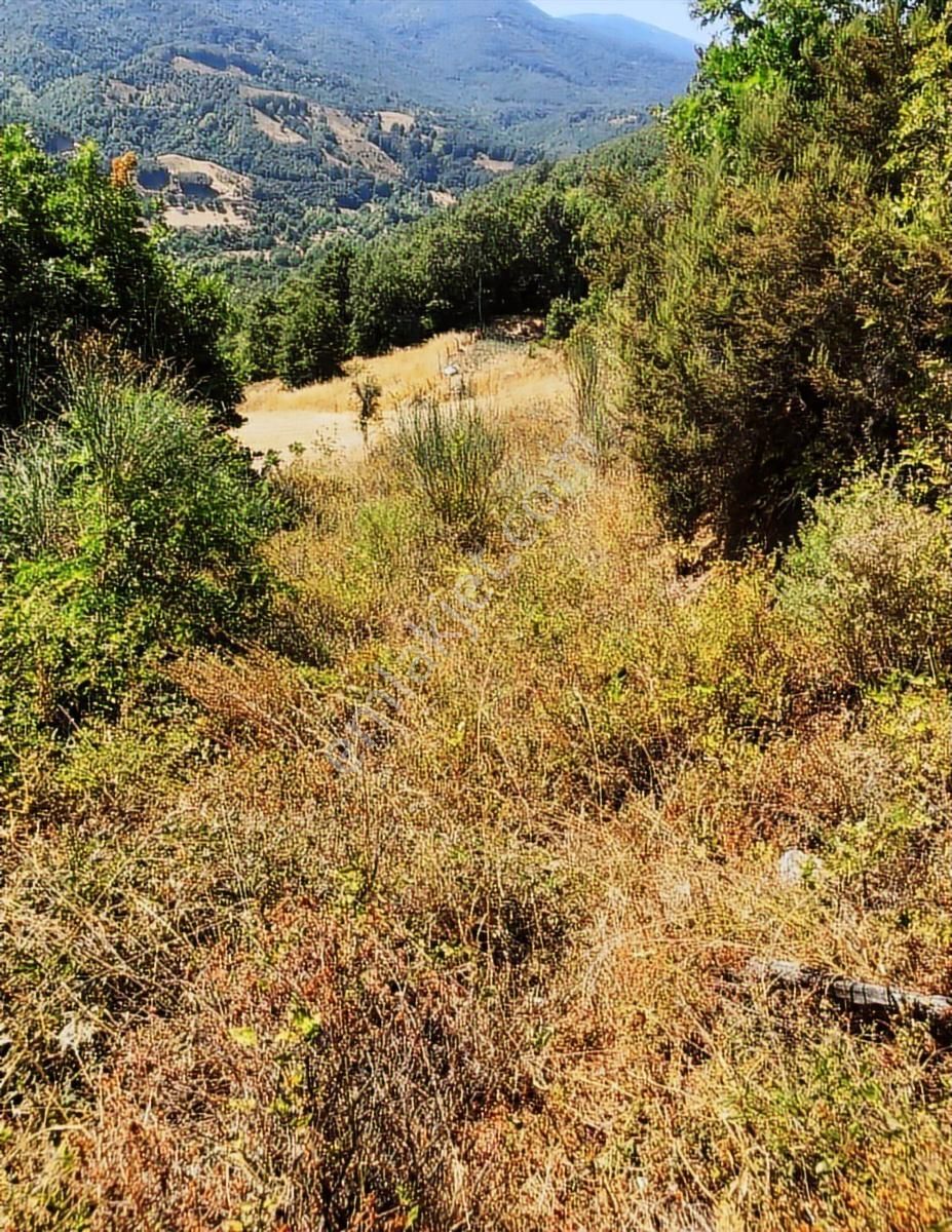 Çanakkale Biga Yolindi Köyünde Satılık Harıka Konumda Tarla - Görsel 17