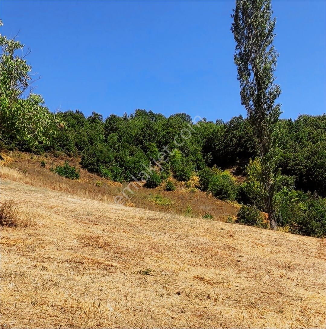 Çanakkale Biga Yolindi Köyünde Satılık Harıka Konumda Tarla - Görsel 10