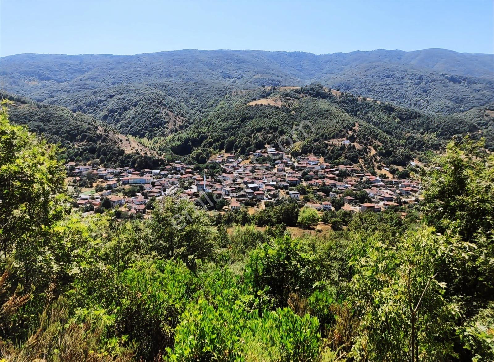 Çanakkale Biga Yolindi Köyünde Satılık Harıka Konumda Tarla - Görsel 1