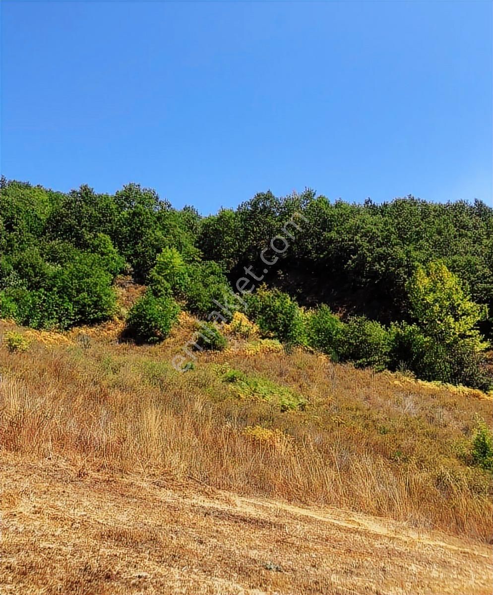 Çanakkale Biga Yolindi Köyünde Satılık Harıka Konumda Tarla - Görsel 14