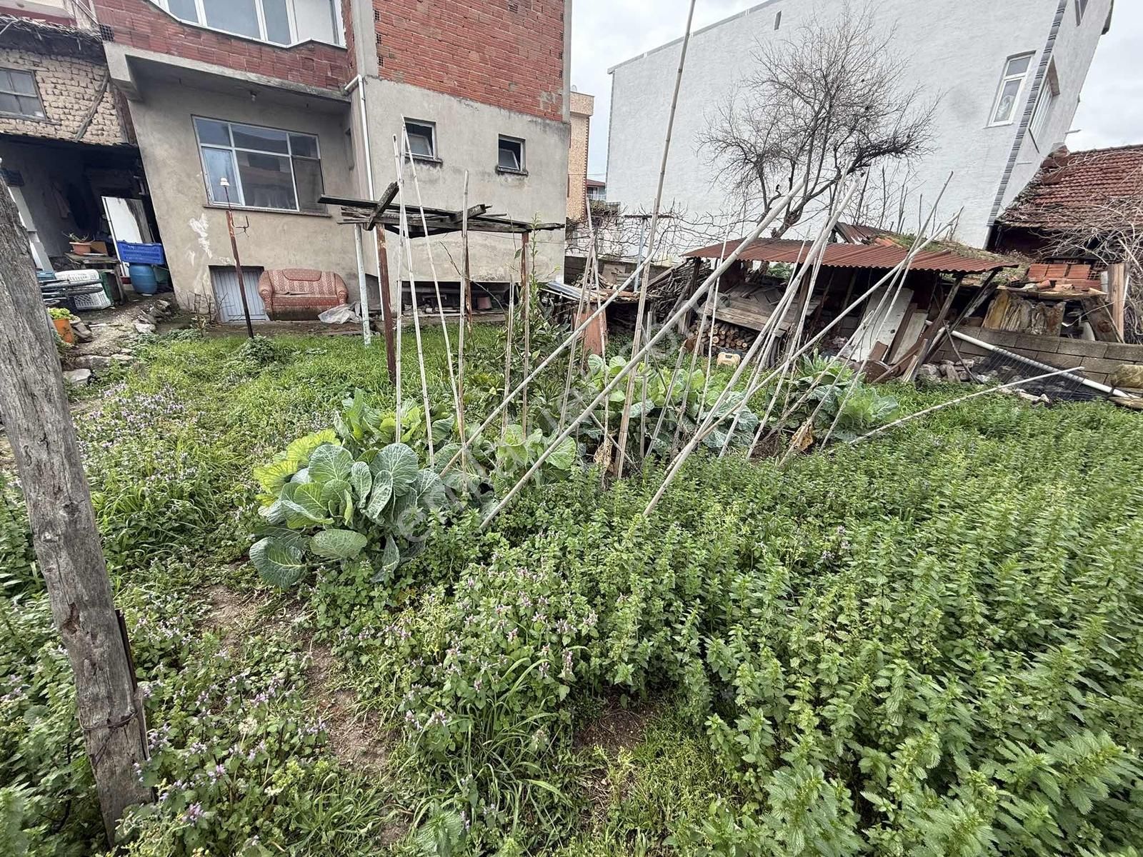 Göle 300 Metre, 247 M2 Arsa İçerisinde 2 Katlı Müstakil Ev - Görsel 34