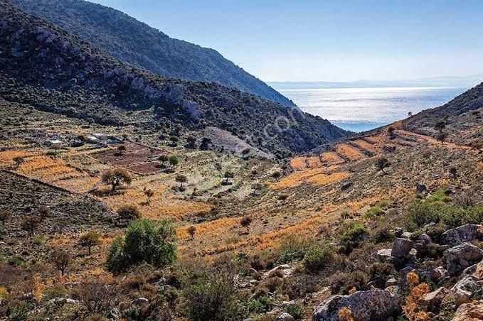 Joker: Gedik Koyu'na 700 Metre Yakınlıkta Deniz Manzaralı Tarla - Görsel 3