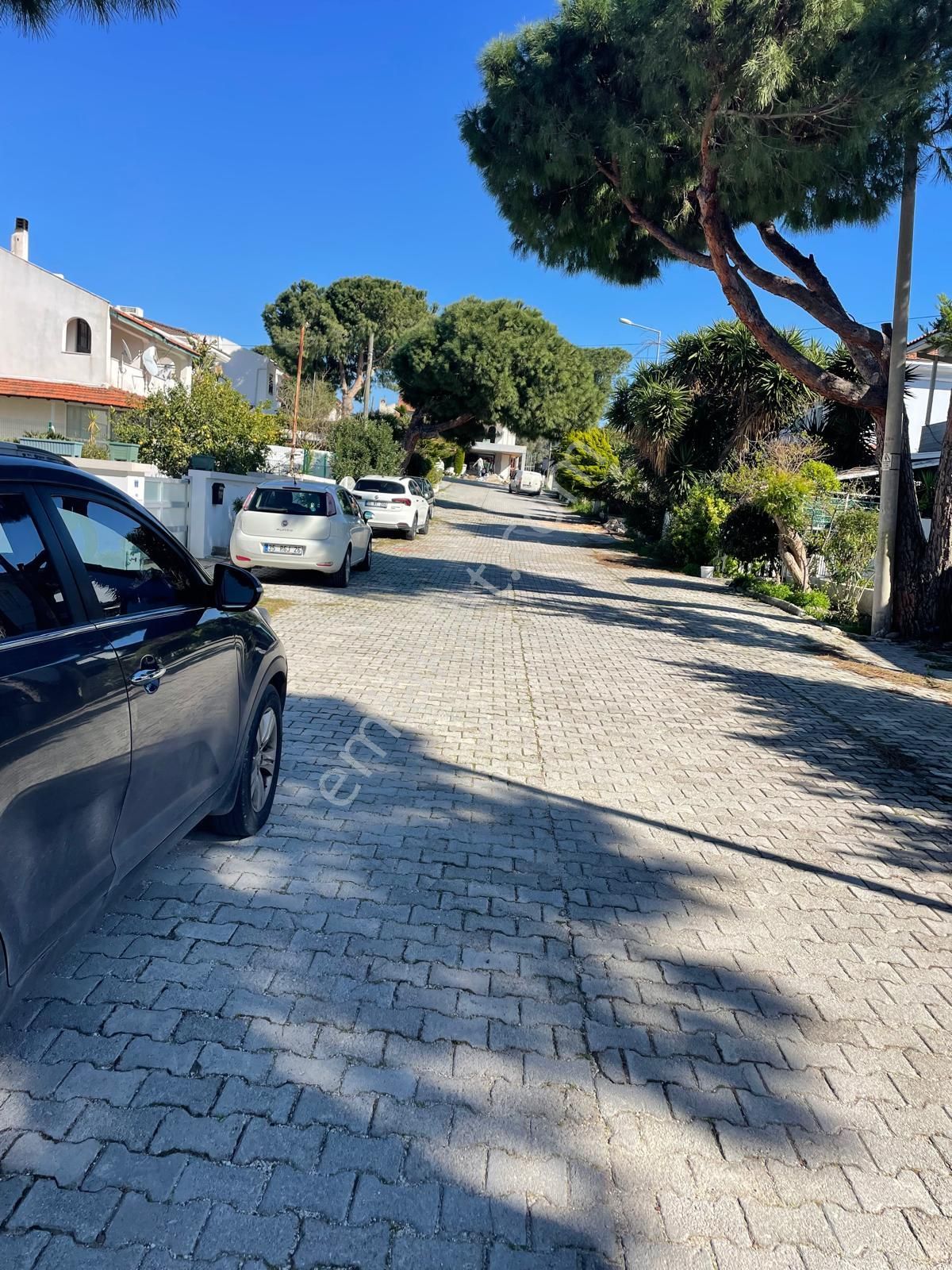 Turyap Çeşme Alaçatı Ağaçlı Yol Sakızlarda Kiralık 2+1 Daire - Görsel 3