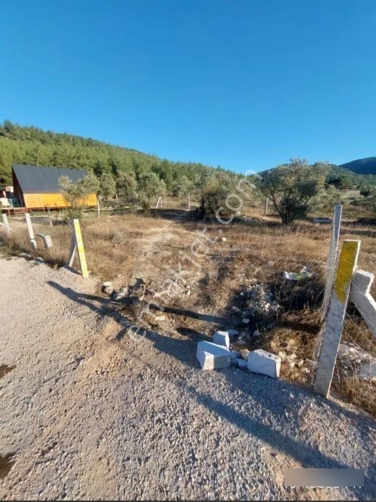 Menderes Çilede Kooperatif Hissesi