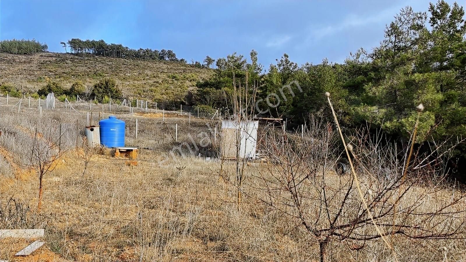 Kemalpaşa Damlacık Satılık Tarla. - Görsel 9