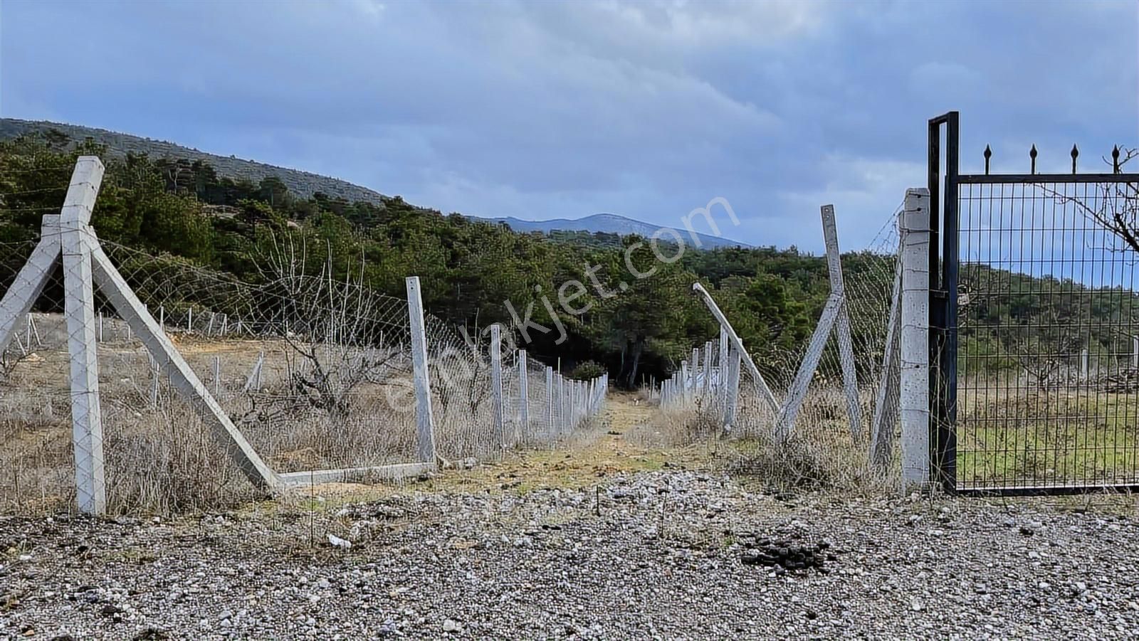 Kemalpaşa Damlacık Satılık Tarla. - Görsel 6
