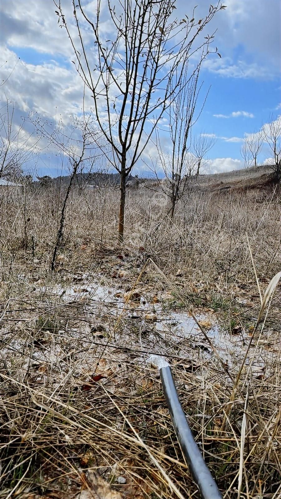 Kemalpaşa Damlacık Satılık Tarla. - Görsel 17