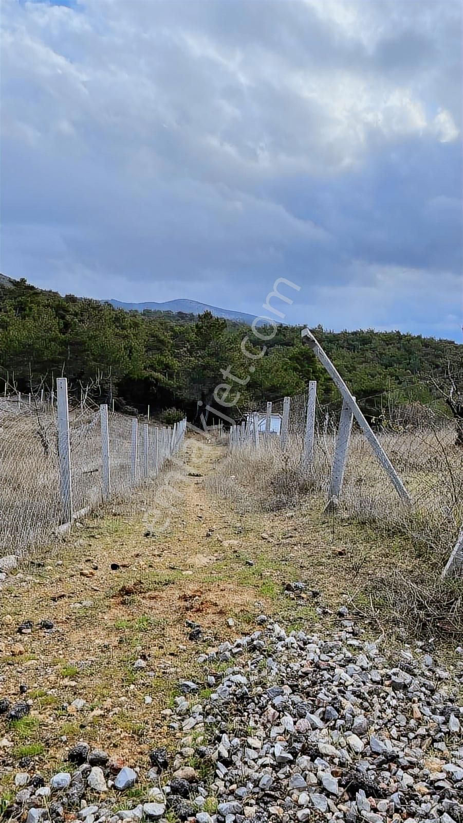 Kemalpaşa Damlacık Satılık Tarla. - Görsel 2