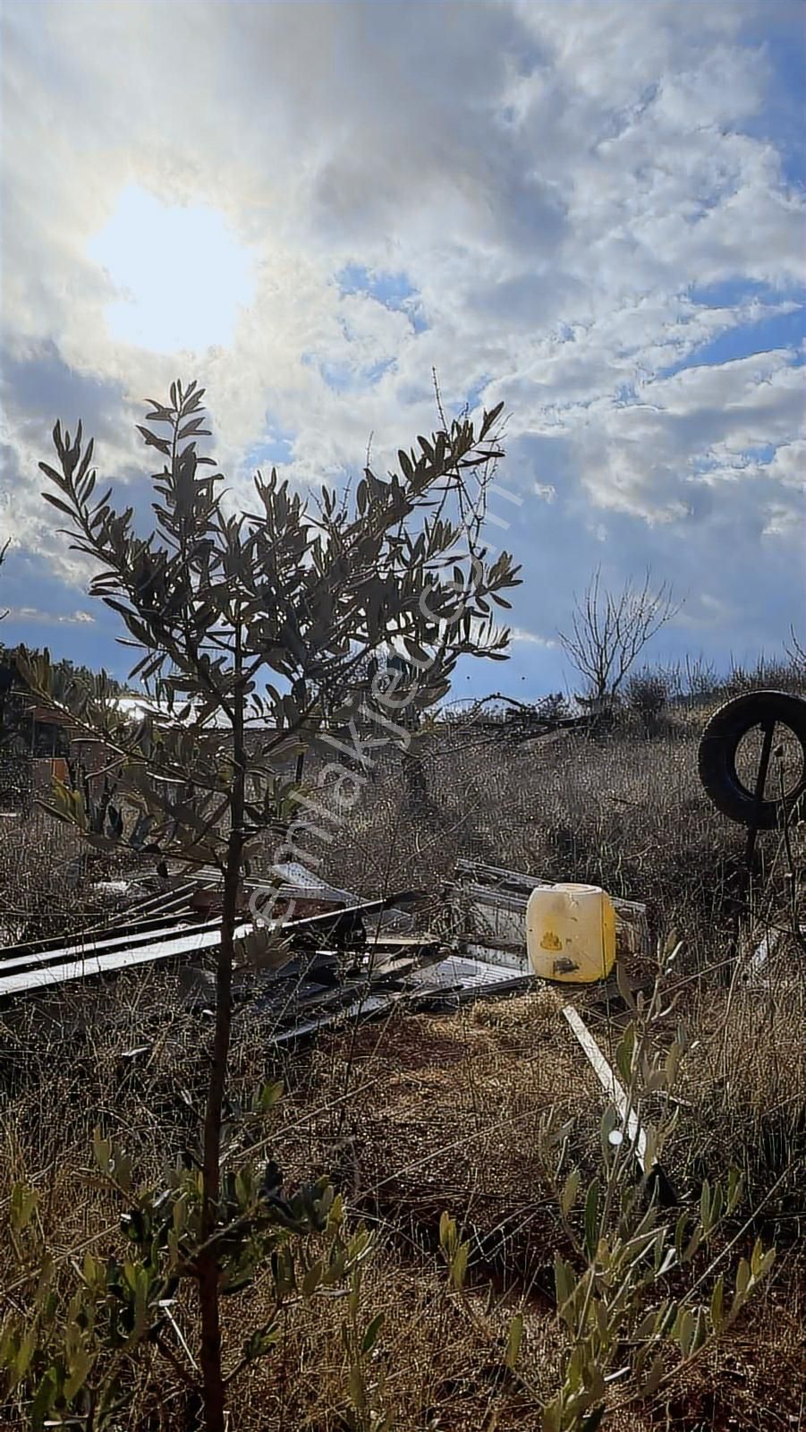 Kemalpaşa Damlacık Satılık Tarla. - Görsel 15