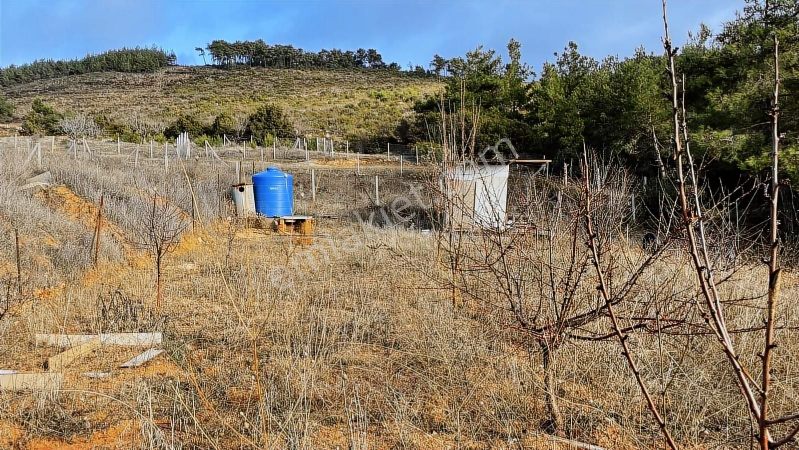 Kemalpaşa Damlacık Satılık Tarla. - Görsel 8