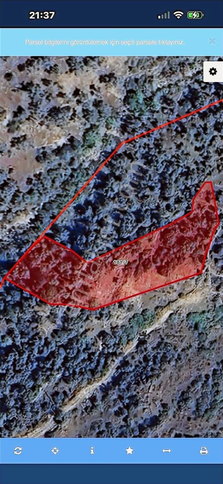 2347 Metre Zeytinlik. Yolu Var.tek Tapu - Görsel 11
