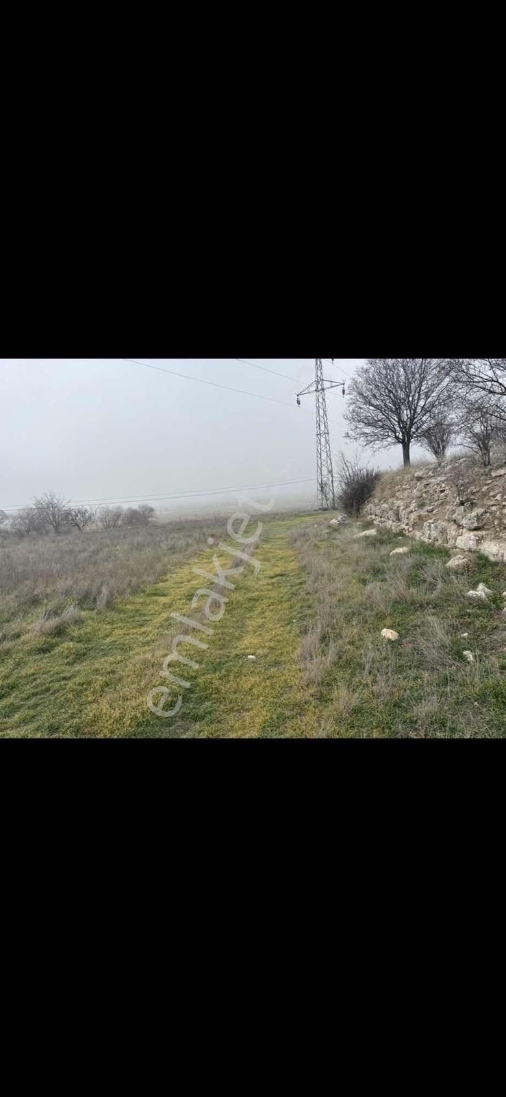 281mt.arazi.yolu Var .konumu İtibarıyla Mükemmel..tek Tapu.