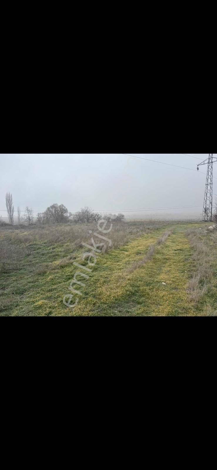 281mt.arazi.yolu Var .konumu İtibarıyla Mükemmel..tek Tapu. - Görsel 15