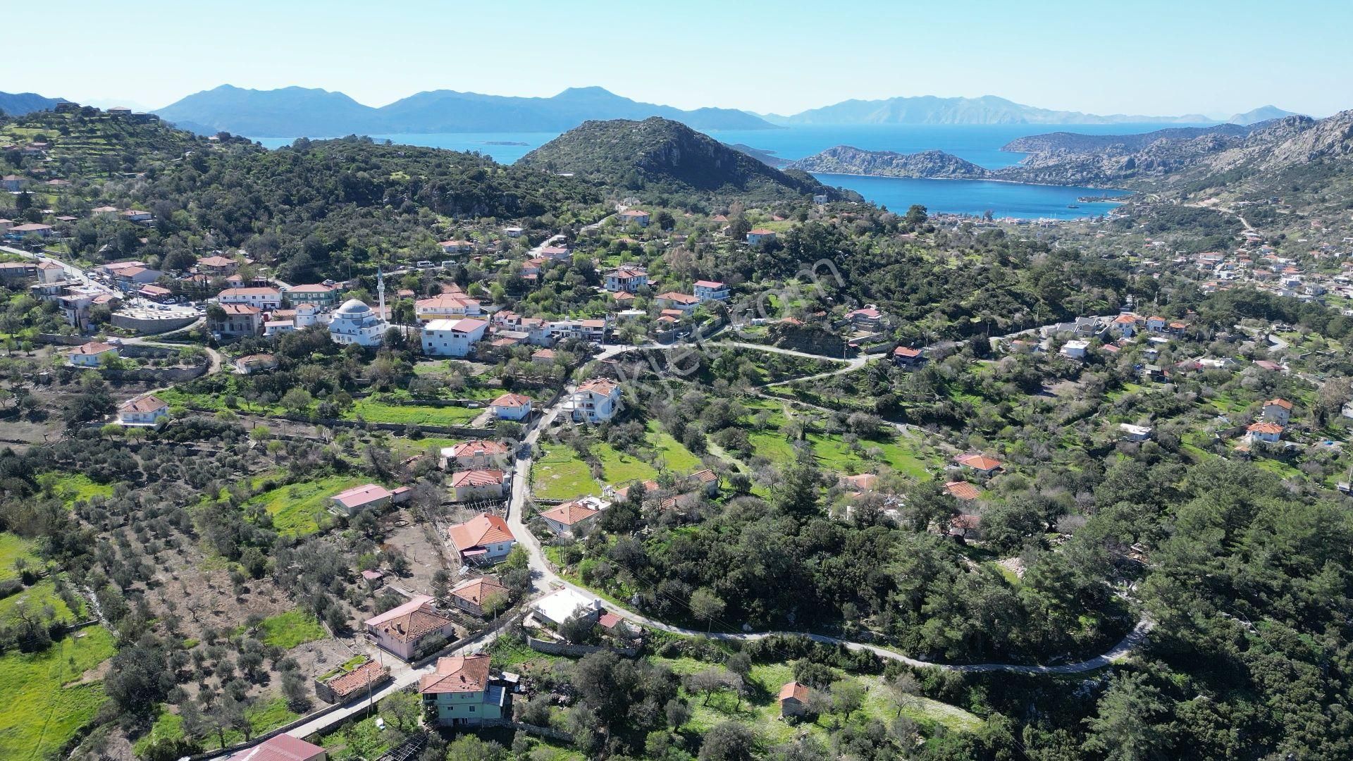 Joker: Söğüt İmarlı Alana Komşu Köy Merkezinde Satılık Tarla