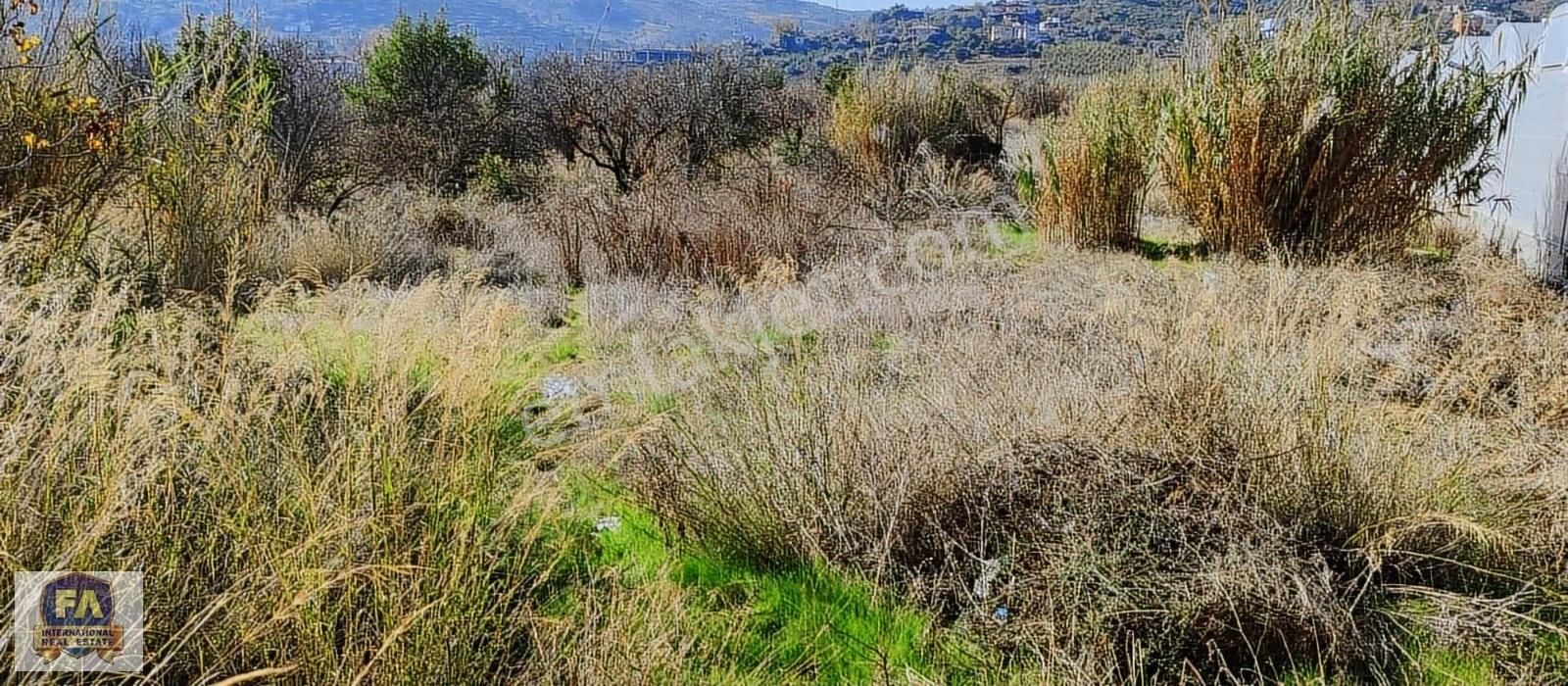 Fa Emlaktan Bozön'de 2500m2 Satılık Tarla - Görsel 2