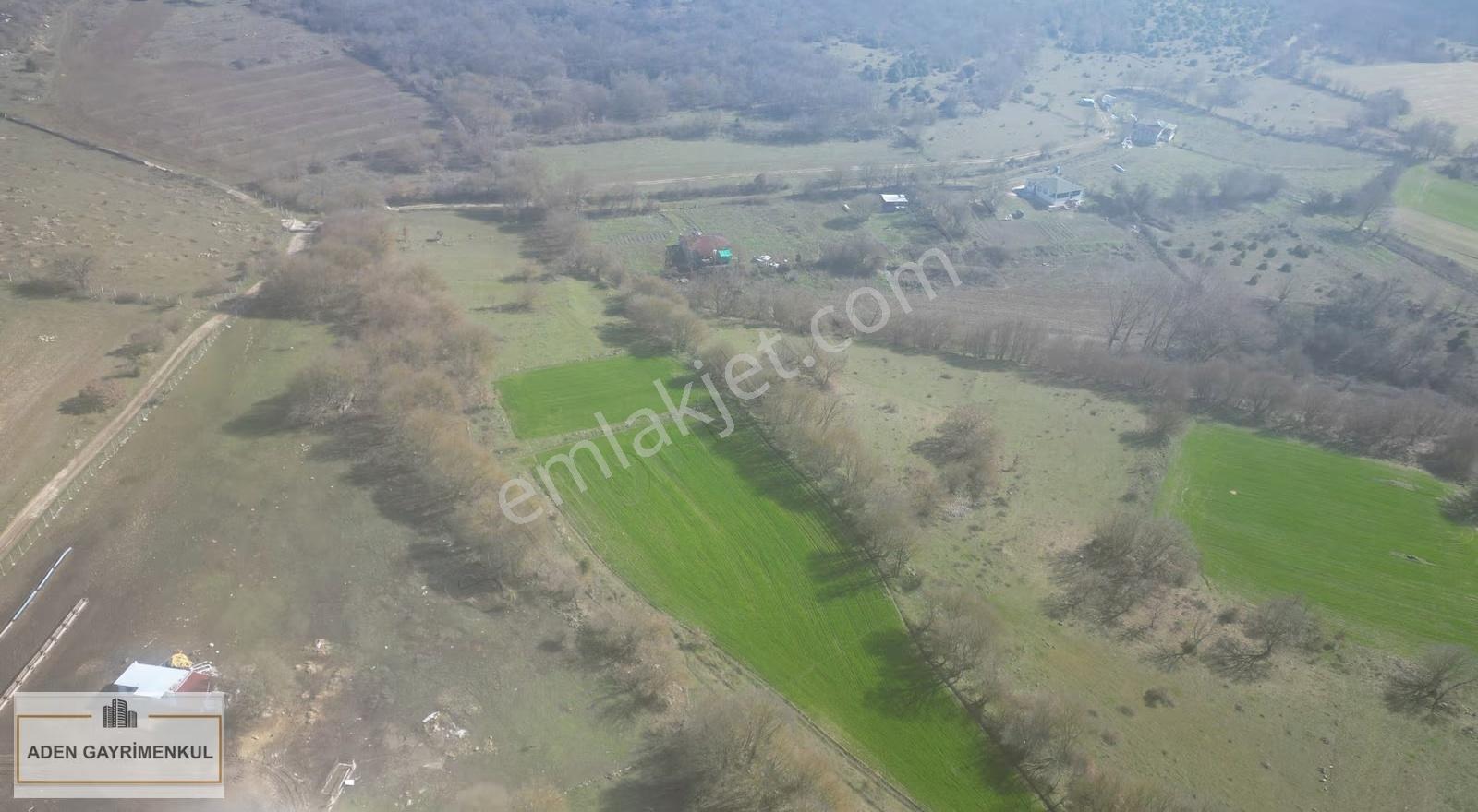 Kırklareli Vize Evrencik 1.562 M² Tarla Satılık - Görsel 29