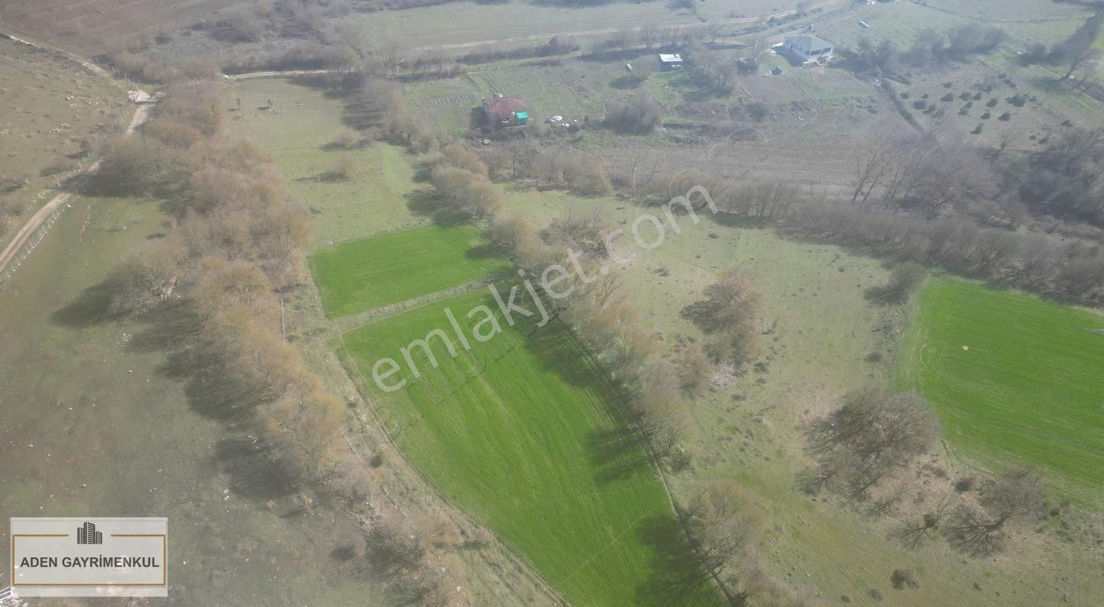 Kırklareli Vize Evrencik 1.562 M² Tarla Satılık - Görsel 13