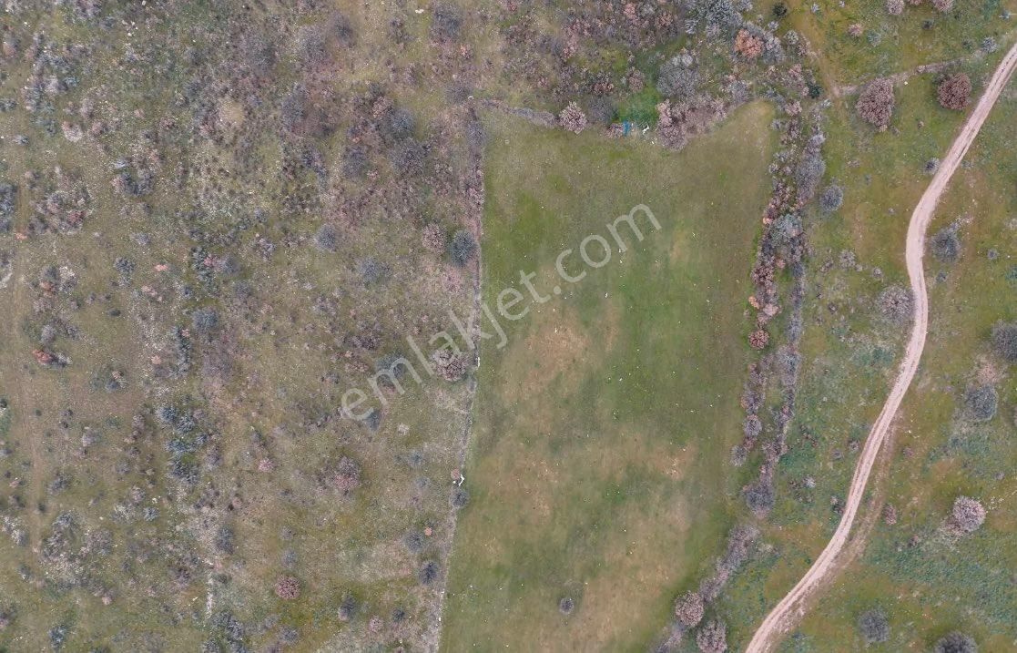 Bergama Sarıcalar Mah. Satılık Tarla Kaçmaz Emlak - Görsel 3