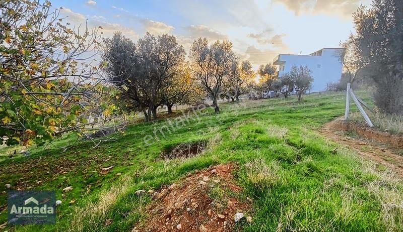 Kemalpaşa Damlacık Köyünde Satılık Tarla 300 M² - Görsel 2