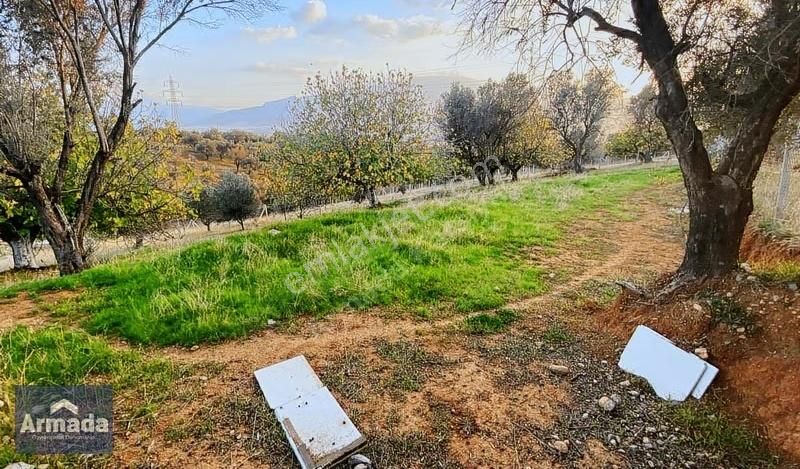 Kemalpaşa Damlacık Köyünde Satılık Tarla 300 M² - Görsel 6