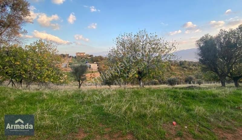 Kemalpaşa Damlacık Köyünde Satılık Tarla 300 M² - Görsel 4