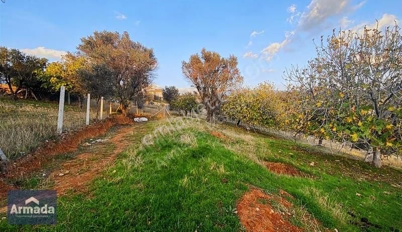 Kemalpaşa Damlacık Köyünde Satılık Tarla 300 M² - Görsel 5