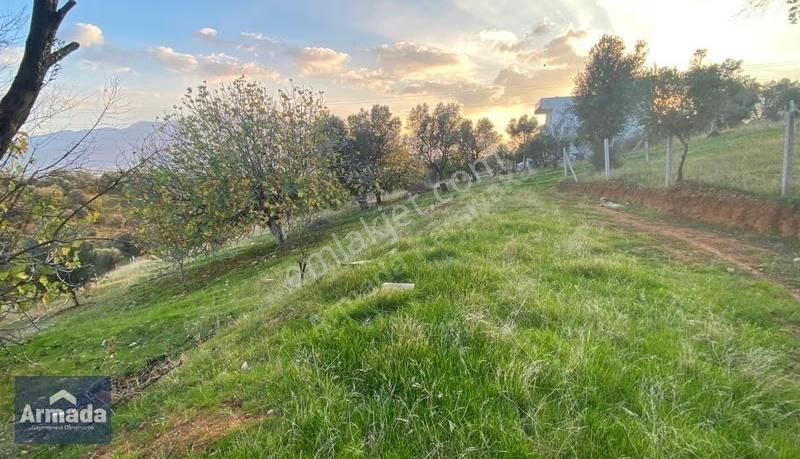 Kemalpaşa Damlacık Köyünde Satılık Tarla 300 M² - Görsel 9