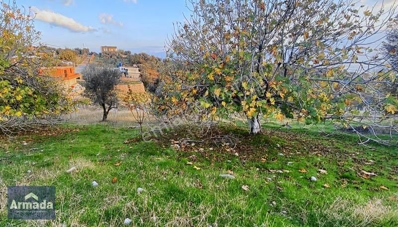 Kemalpaşa Damlacık Köyünde Satılık Tarla 300 M²