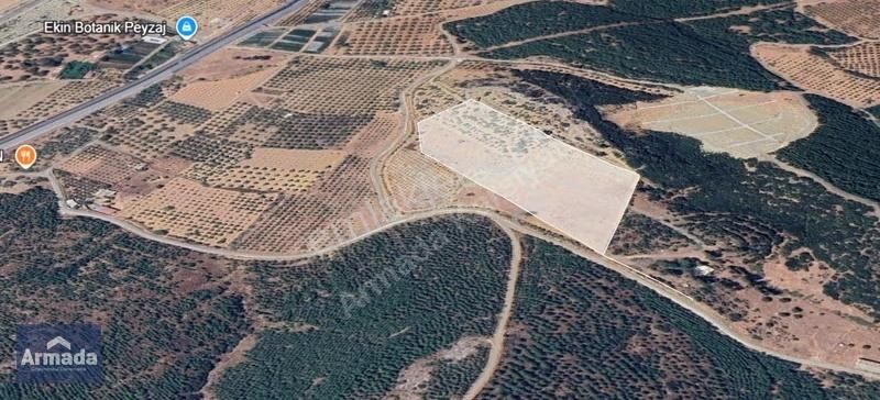 Torbalı Aslanlar Ana Yol Elektrik Su Tektapulu Satılık Zeytinlik - Görsel 2