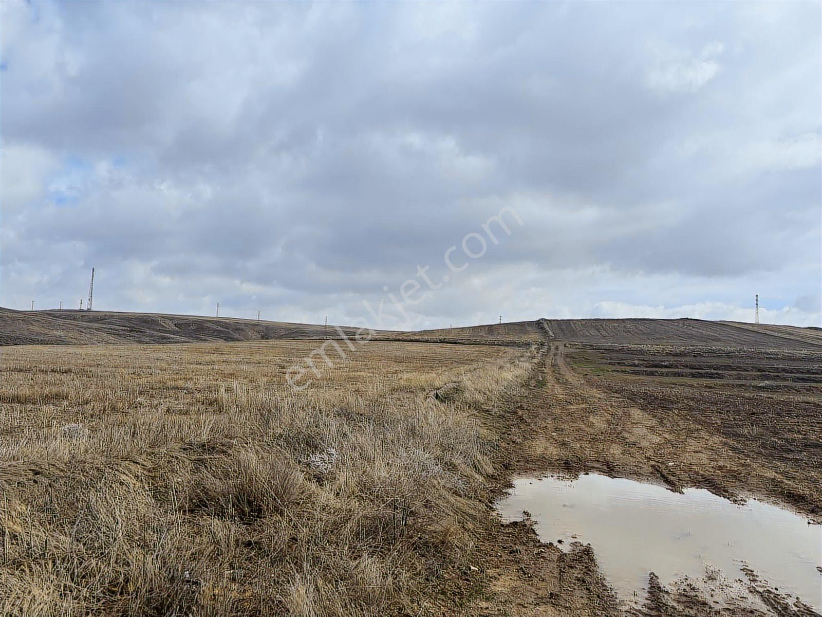 53725 Mt Tarla.yola Cepheli Tek Tapu .düz Arazi.sulanabilir - Görsel 7