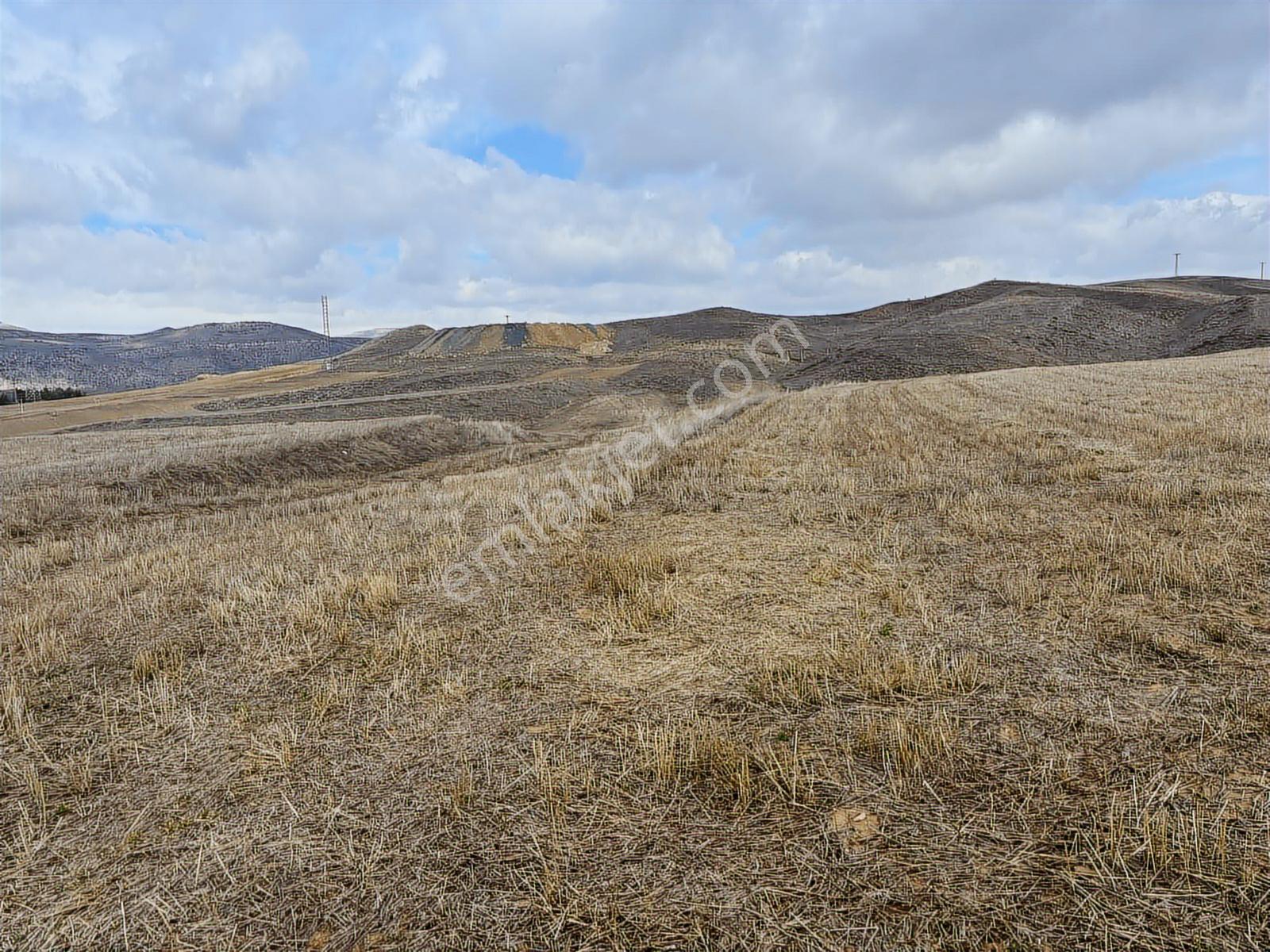 53725 Mt Tarla.yola Cepheli Tek Tapu .düz Arazi.sulanabilir - Görsel 13