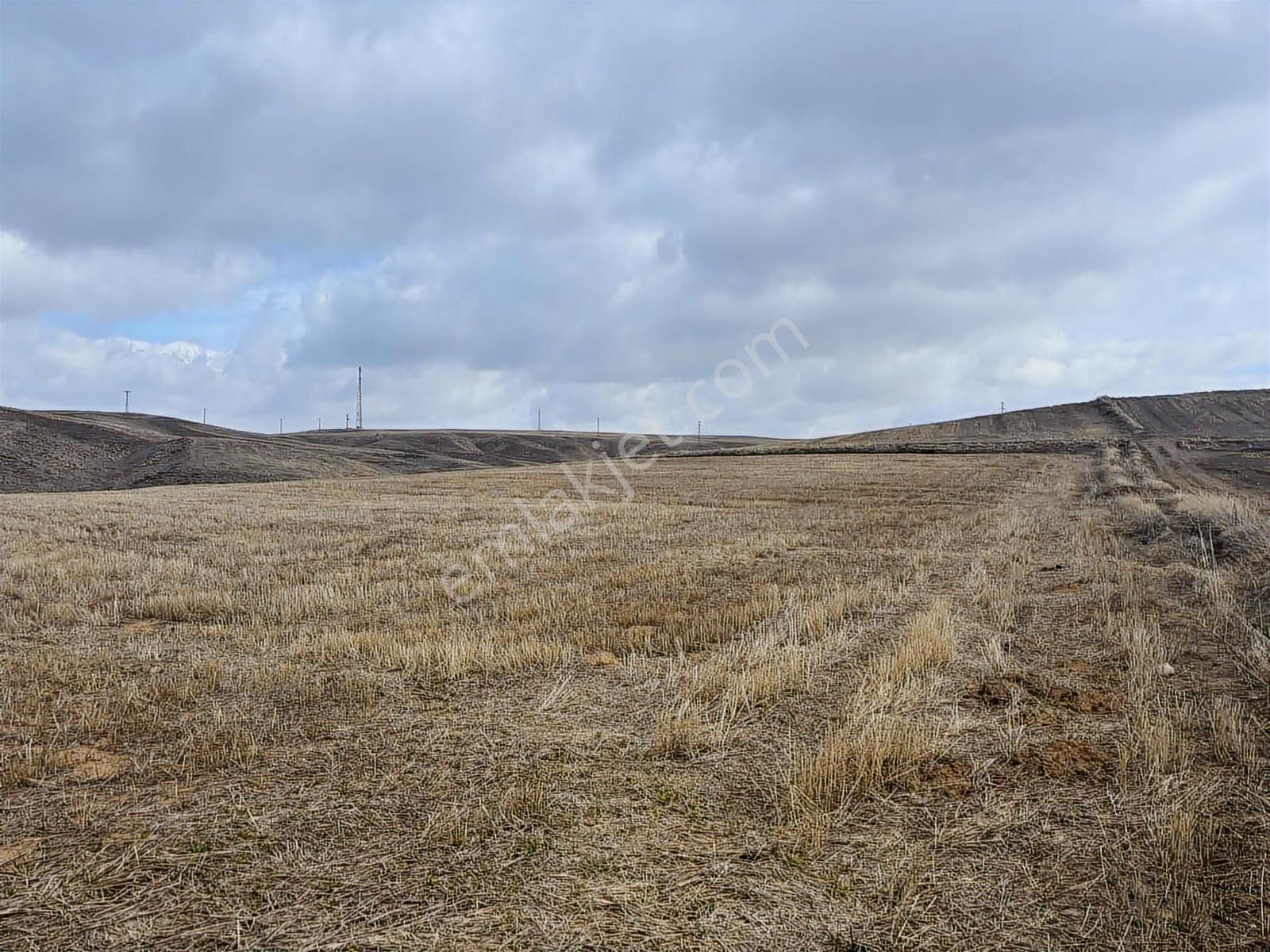 53725 Mt Tarla.yola Cepheli Tek Tapu .düz Arazi.sulanabilir - Görsel 5