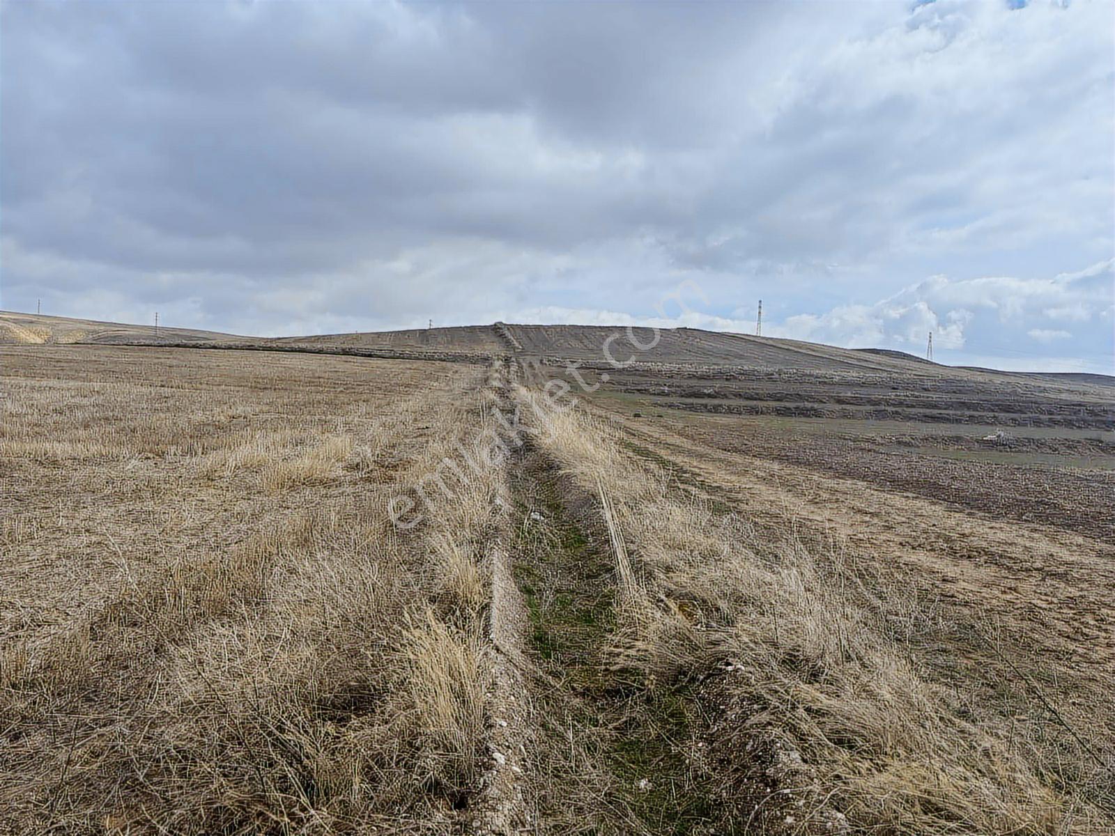 53725 Mt Tarla.yola Cepheli Tek Tapu .düz Arazi.sulanabilir - Görsel 21