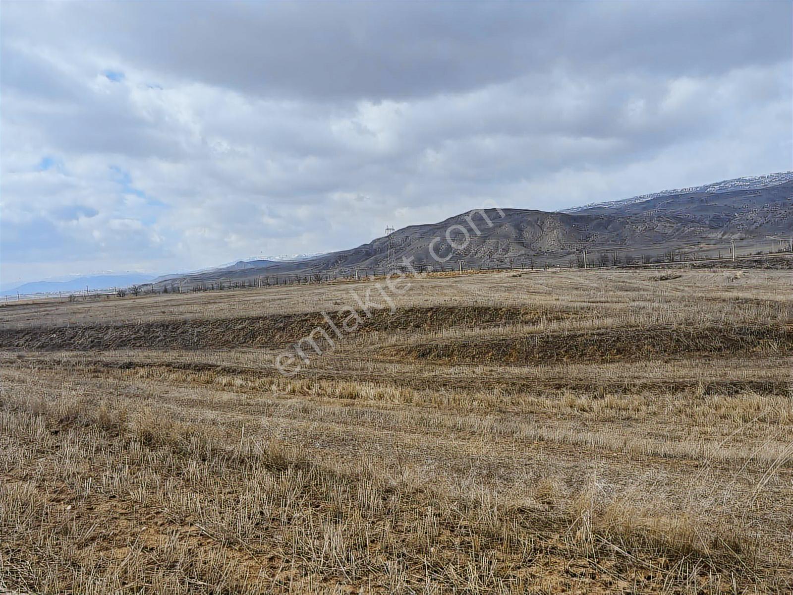 53725 Mt Tarla.yola Cepheli Tek Tapu .düz Arazi.sulanabilir - Görsel 17