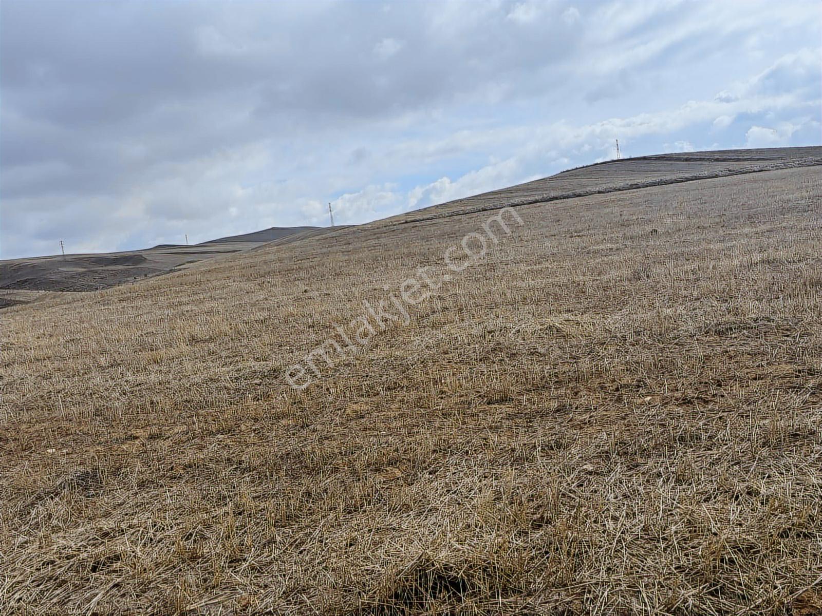 53725 Mt Tarla.yola Cepheli Tek Tapu .düz Arazi.sulanabilir - Görsel 6