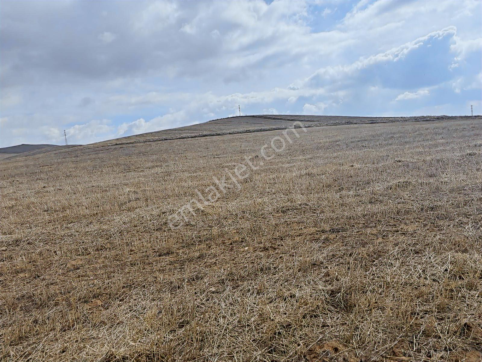 53725 Mt Tarla.yola Cepheli Tek Tapu .düz Arazi.sulanabilir - Görsel 22