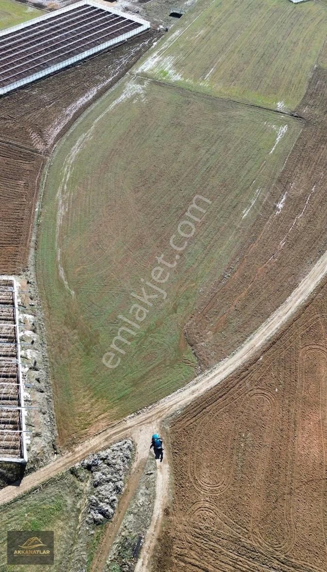 Muğla Seydikemer Kayabaşı Mevkinde Satılık Tarla - Görsel 4