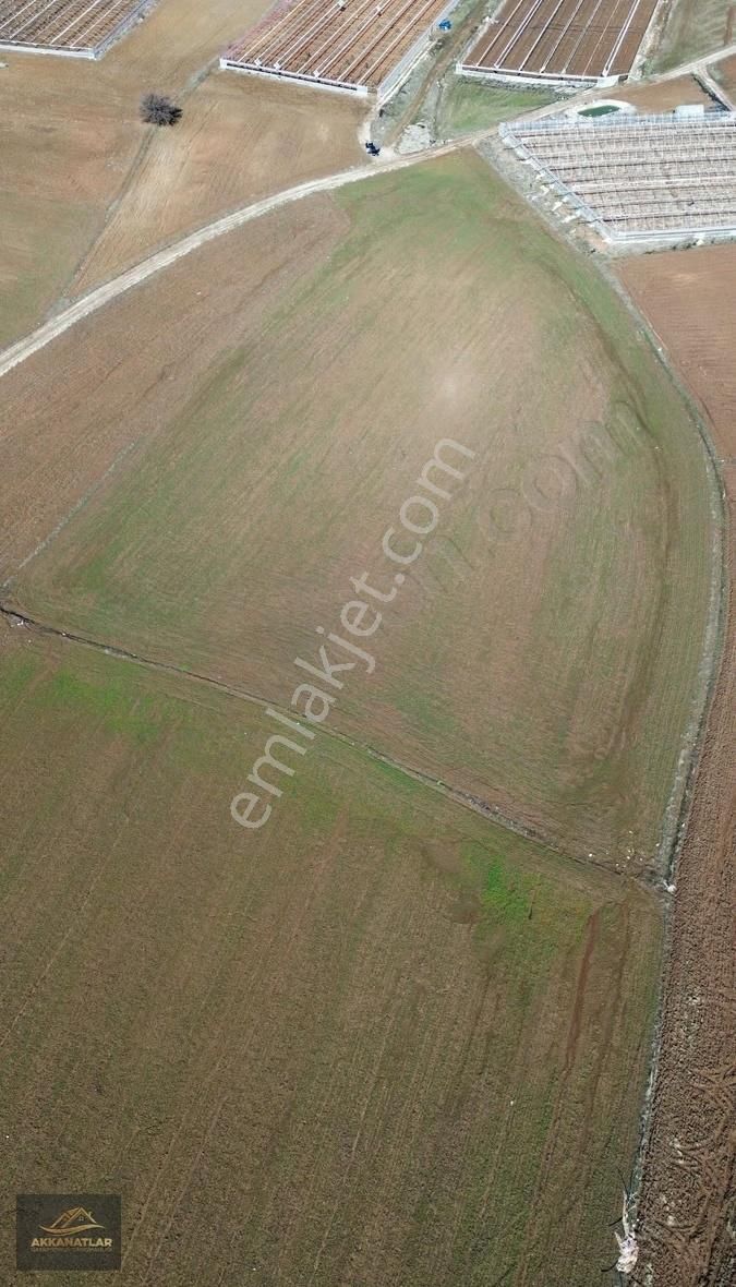 Muğla Seydikemer Kayabaşı Mevkinde Satılık Tarla - Görsel 2