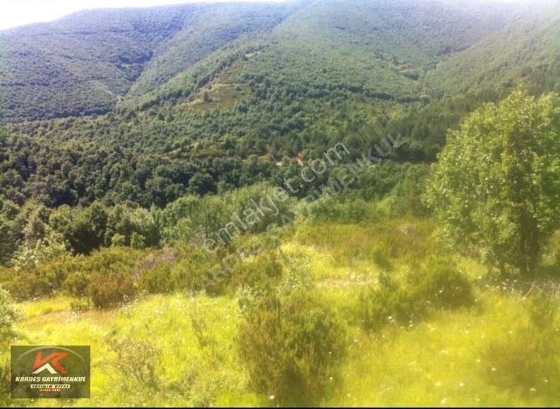 Güney Marmara Otobanına Yakın 30.772 M² Tarım Arazisi | Senaiye - Görsel 5