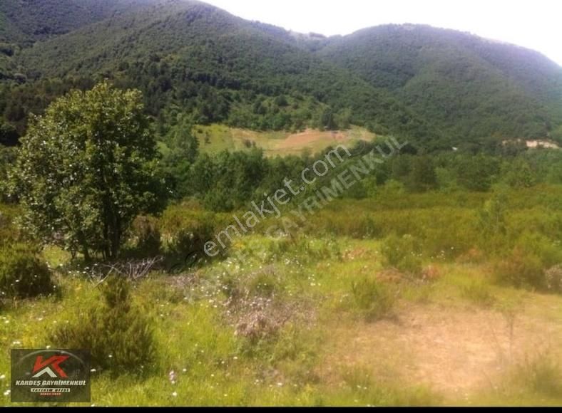 Güney Marmara Otobanına Yakın 30.772 M² Tarım Arazisi | Senaiye - Görsel 6