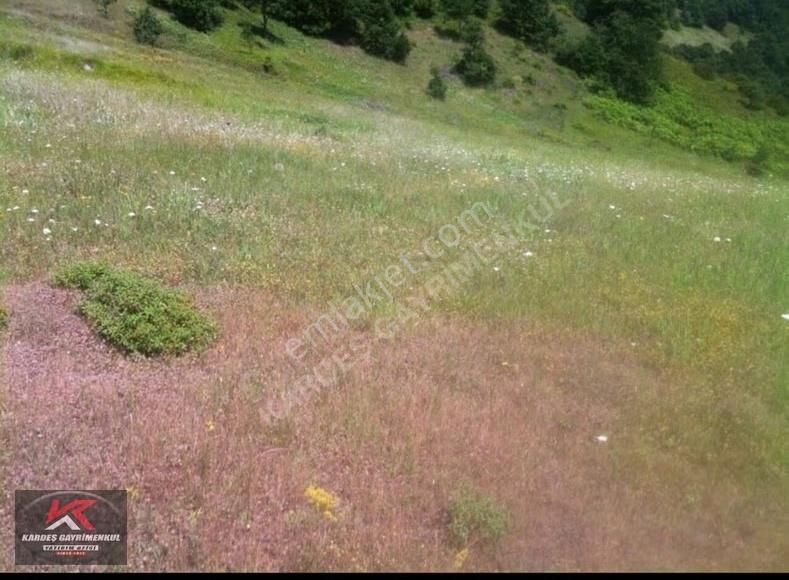 Güney Marmara Otobanına Yakın 30.772 M² Tarım Arazisi | Senaiye - Görsel 2