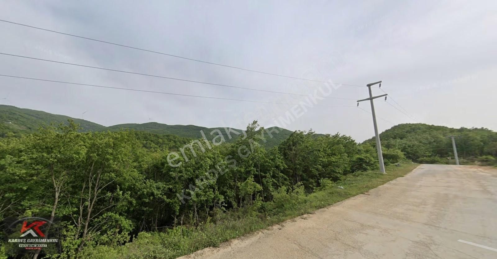 Güney Marmara Otobanına Yakın 30.772 M² Tarım Arazisi | Senaiye - Görsel 4