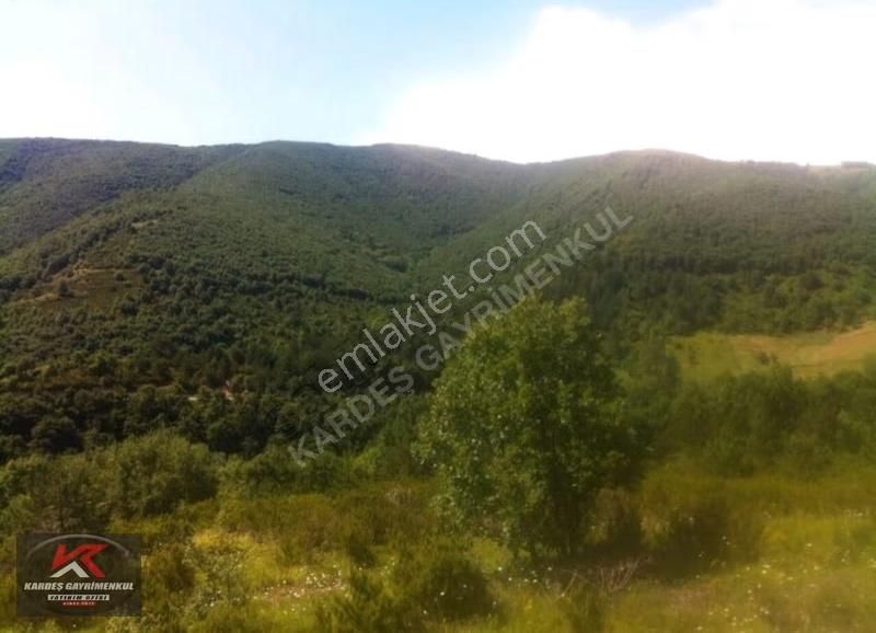 Güney Marmara Otobanına Yakın 30.772 M² Tarım Arazisi | Senaiye - Görsel 8