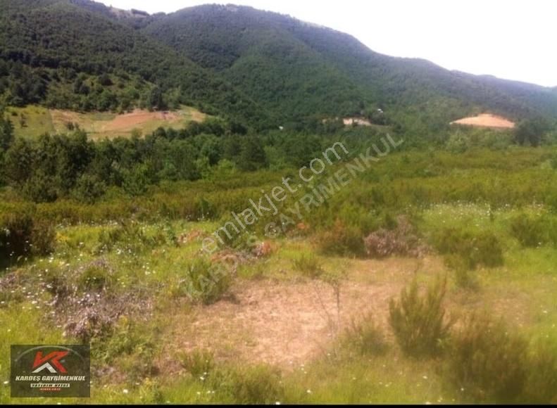 Güney Marmara Otobanına Yakın 30.772 M² Tarım Arazisi | Senaiye - Görsel 10