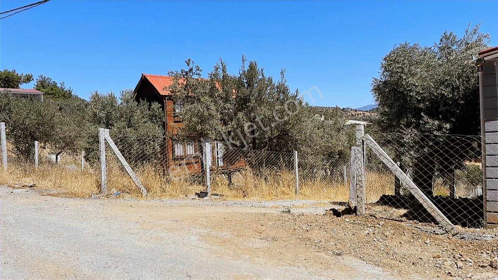 Torbalı Bozköy Mahallesinde 210 M2 Zeytinli Tarla - Görsel 31